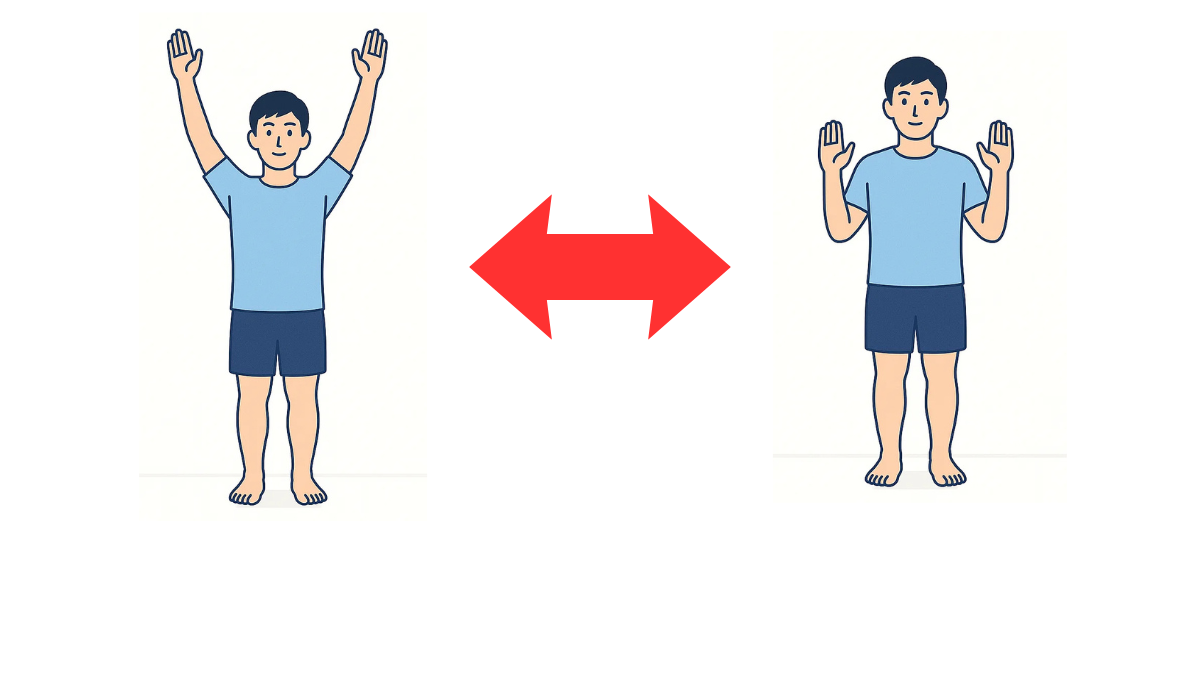 Scapular Retraction Exercise