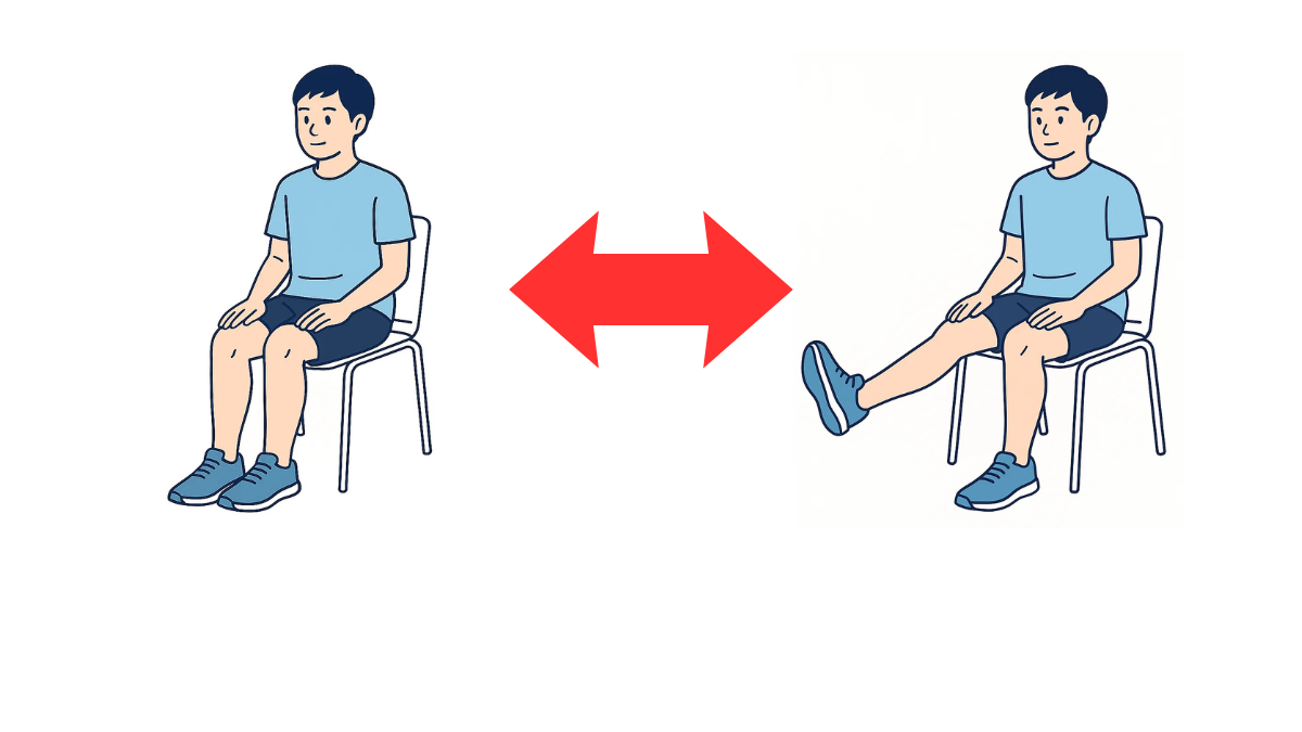 Seated Knee Extension