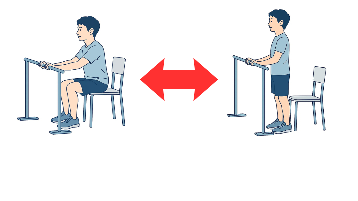 Sit To Stand With Parallel Bars