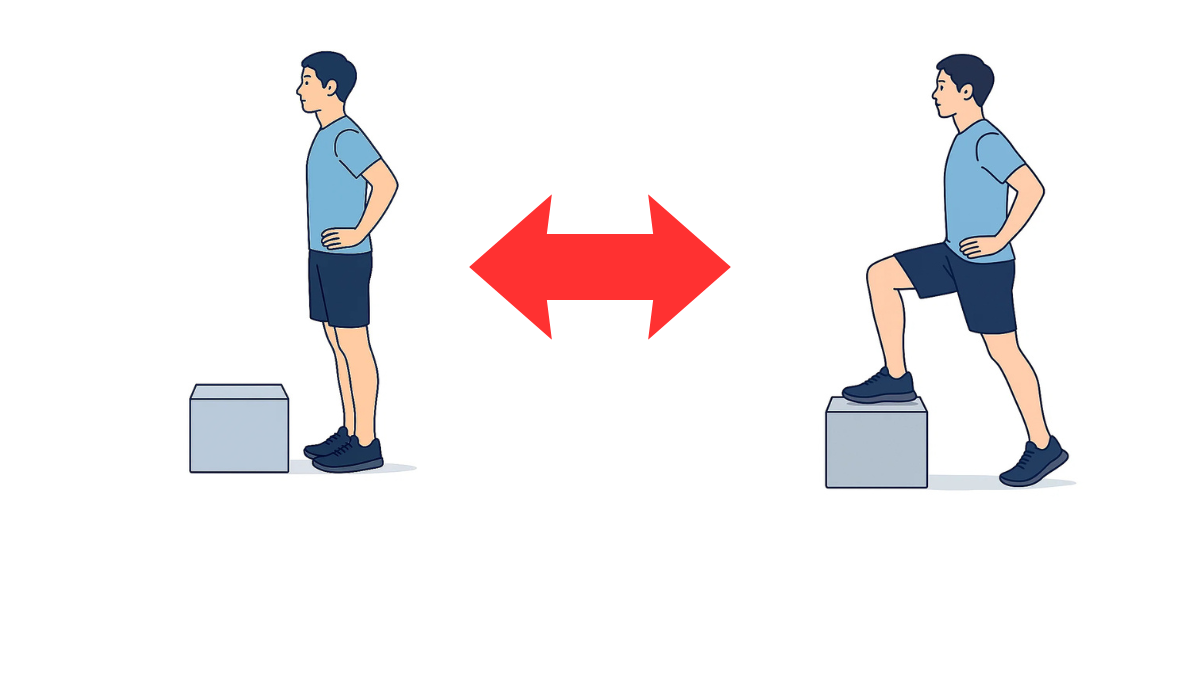 Step Up And Down