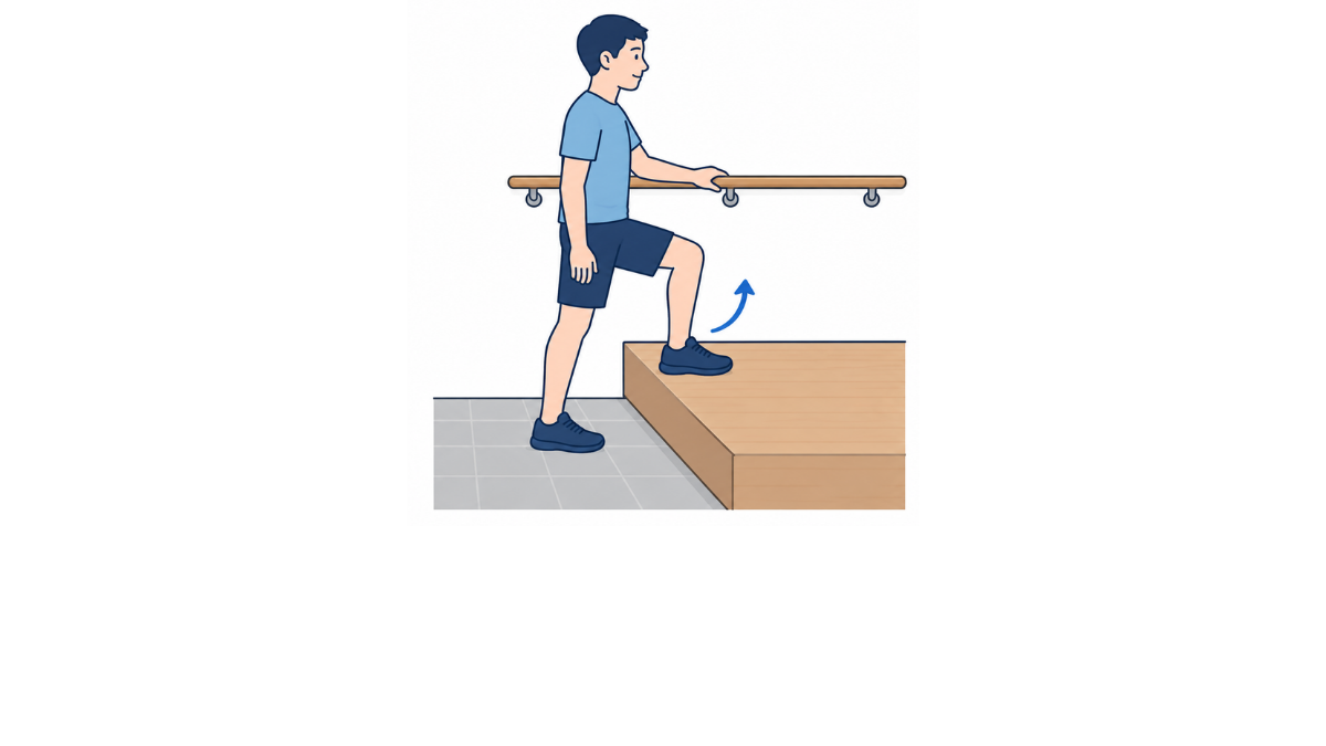 Step Up With Handrail