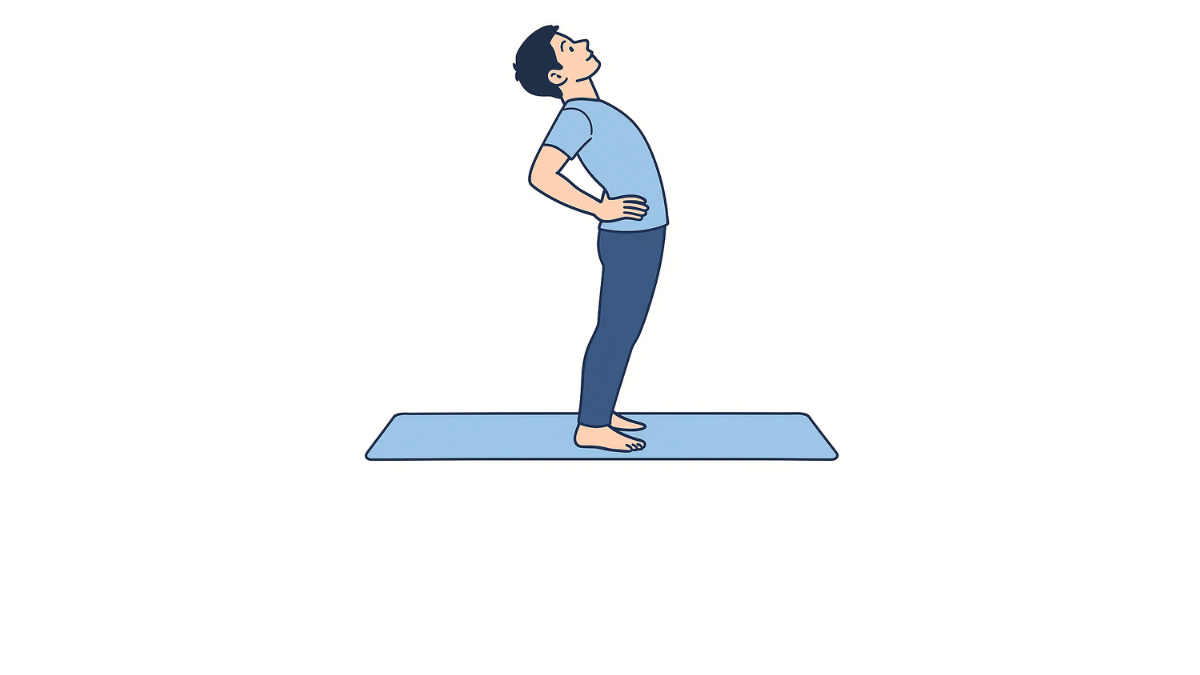 Trunk Extension Stretch