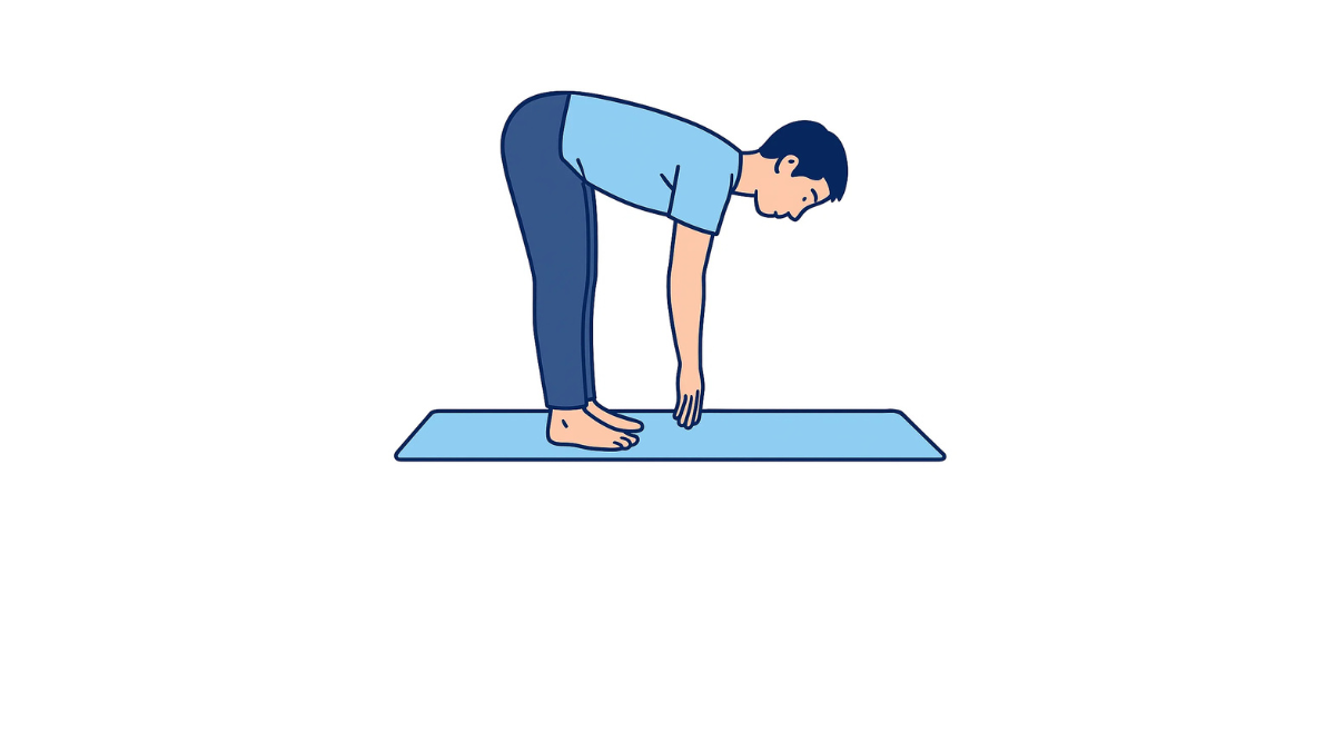 Trunk Flexion Stretch