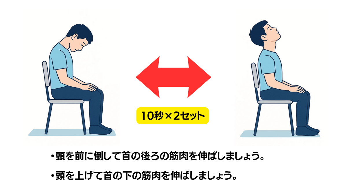 Neck Flexion Extension Stretch