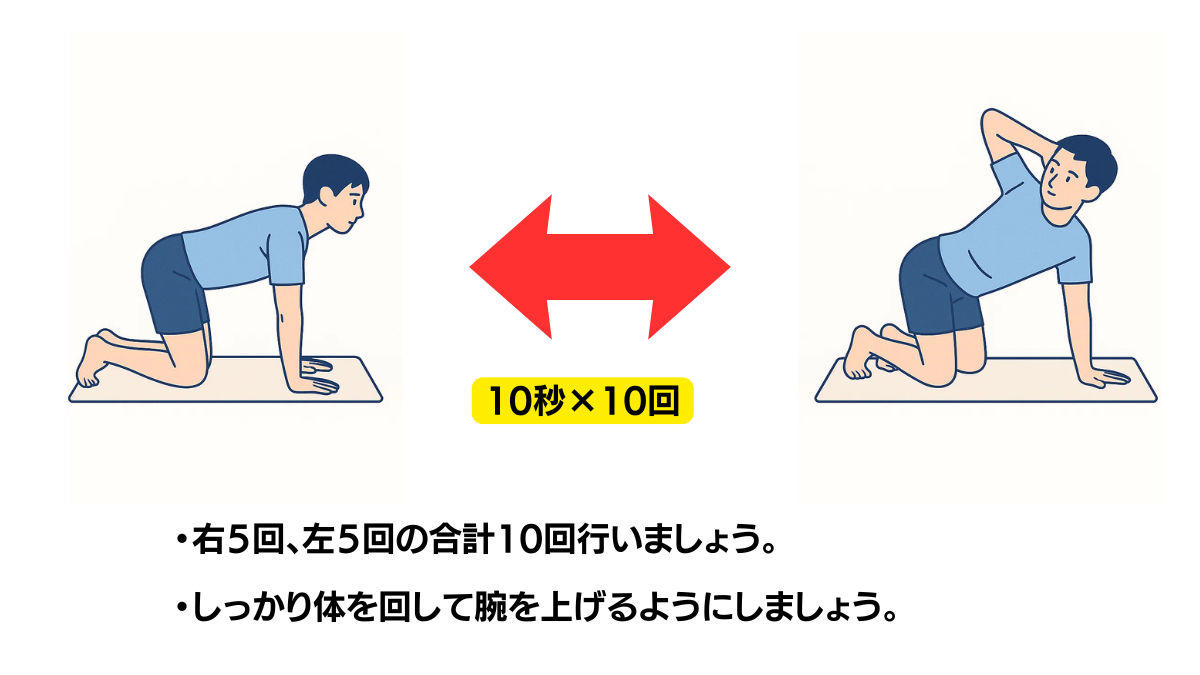 Quadruped Trunk Rotation Training