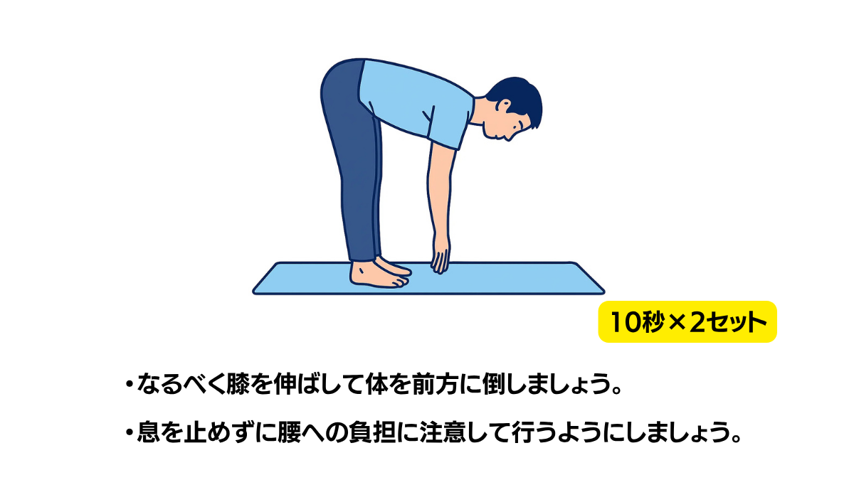 Trunk Flexion Stretch